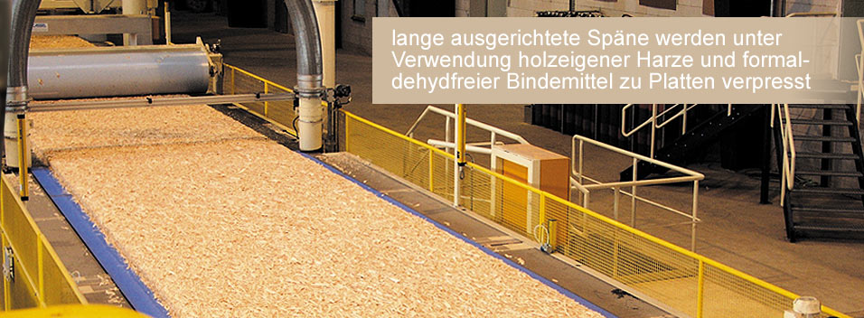 SWISS KRONO OSB/4 - die Basis